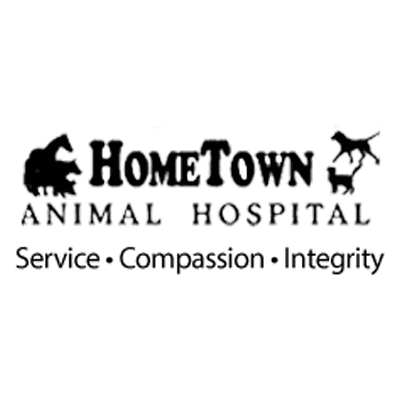 Animal Hospital, Veterinary Clinic, Dogs, Cats, Horses, Livestock Animal, Animal Vaccination, Animal Immunisation, Animal Surgery