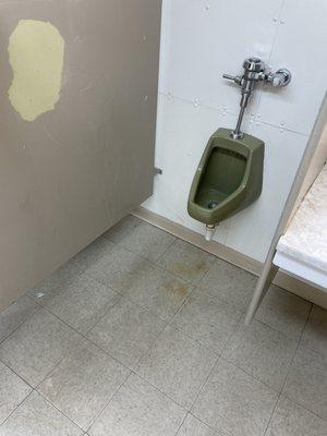 Why clean the floor when you can just leave pee stains