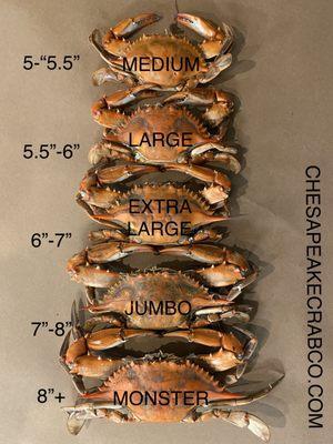 Crab Sizing Chart