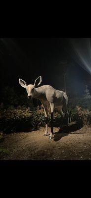 Gigantic deer made of glass