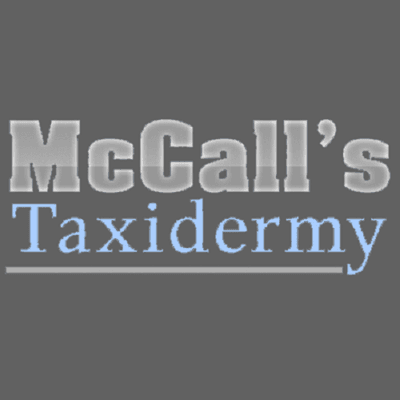 McCall's Taxidermy