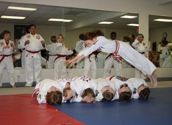 Aamerican Colleges of Jiu-Jitsu and Karate