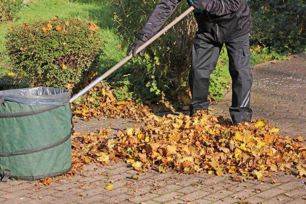 Garden Clean Up