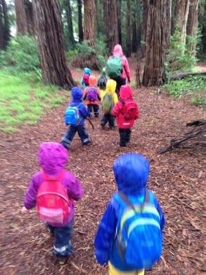 Hiking in Golden Gate Park. We founds newts this day!