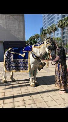 Baraat Downtown