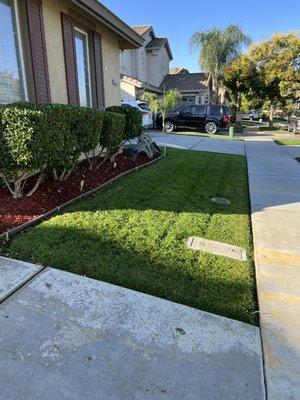 T&A Landscaping