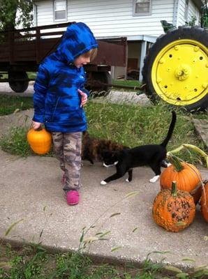 Meeting farm cats after the hay ride to the pumpkin patch.