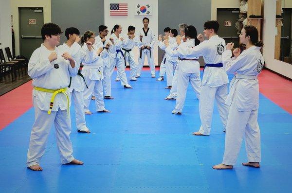 Tiger Hong's World Class Tae kwon do