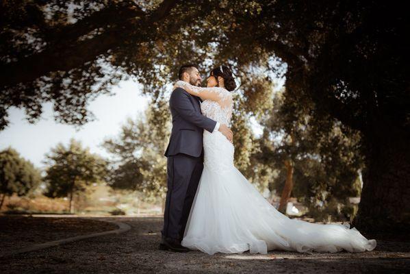 Dry cleaned and steamed wedding dress