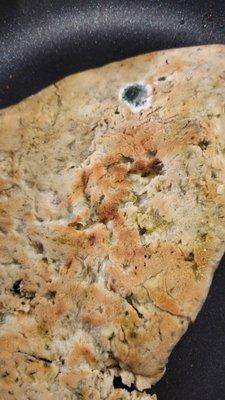 Fungus on Frozen naan