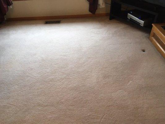 After cleaning picture of customer's carpet.