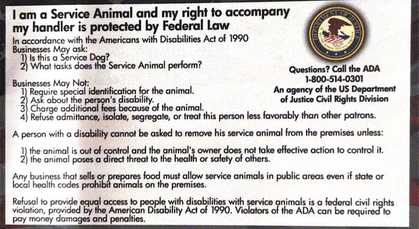 Ada law regarding service  animals