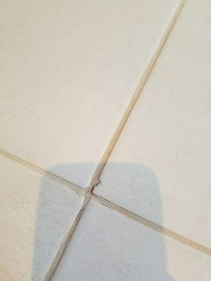 Chipped tile & the remaining grey grout