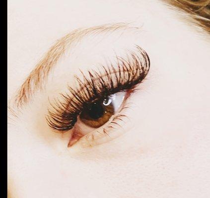 Volume lash extensions