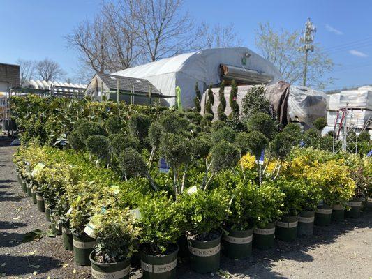 Sweetbrook Nursery & Garden Center