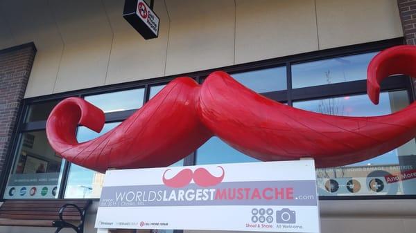 www.WorldsLargestMustache.com and CPR Team Up for MOVember.