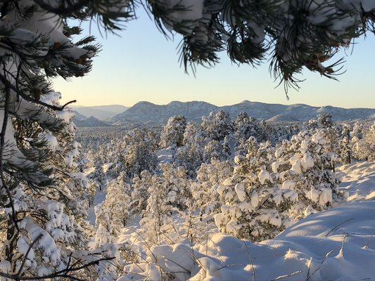 Overlooking Payson after a rare snow.