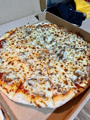 Mushroom and cheese pizza