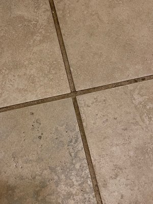 Filthy grout