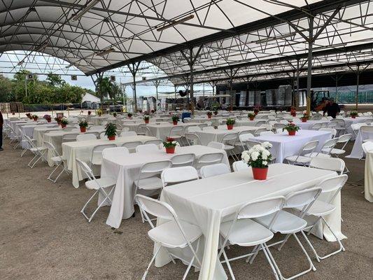 Folding chairs, linens, tables and more