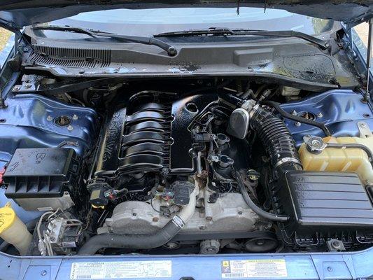 Nice engine detail... giving a power wash taking off the dirt deeply.