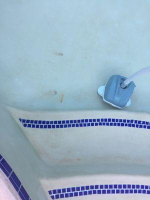 Random staining with Always Blue Pools giving no suggestions when the owner was asked to address this issue.