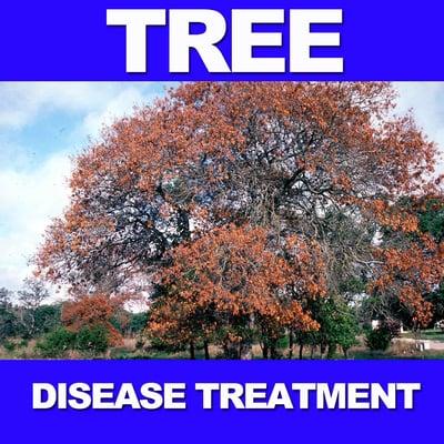 Diseased trees