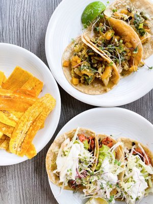 Jackfruit Pibit Taco and Cauliflower al Pastor with a side of Plantain Chips