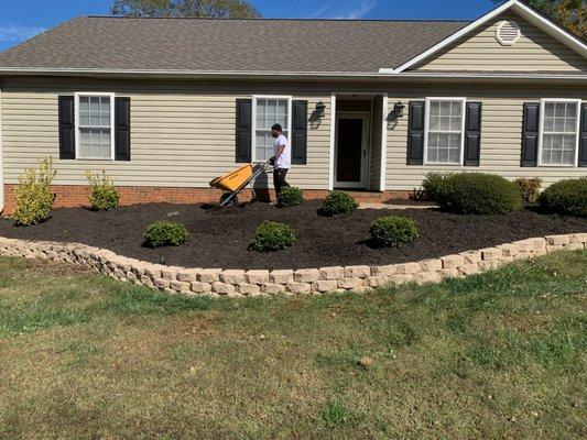 Cut trees down and layer mulch..