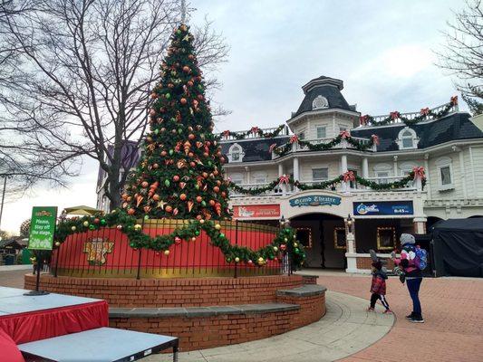 Big beautiful Christmas tree in front of the Grand Theatre