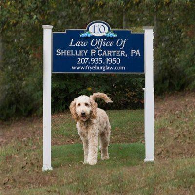 Law Office of Shelley P. Carter, PA with Baxter Bear Carter