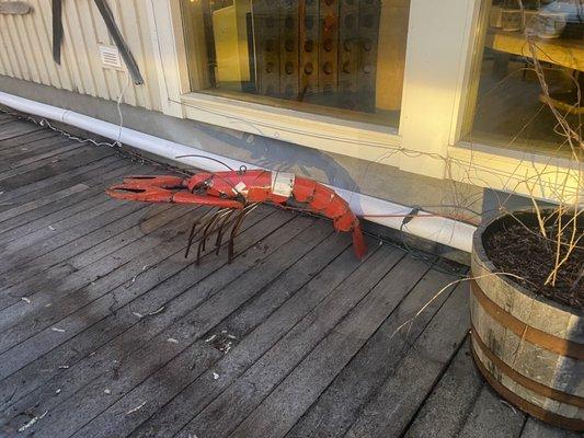 Greeting you at Depot62, the tin lobster!