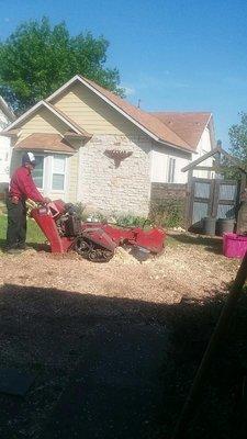 Stump Grinding