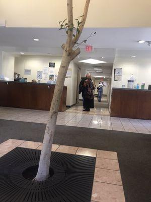 Comfortable waiting area at SCOI in Van Nuys