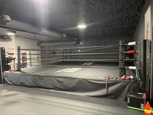 The best 24 x 24' boxing ring in Cartersville!