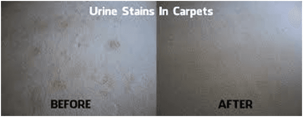 stain removal