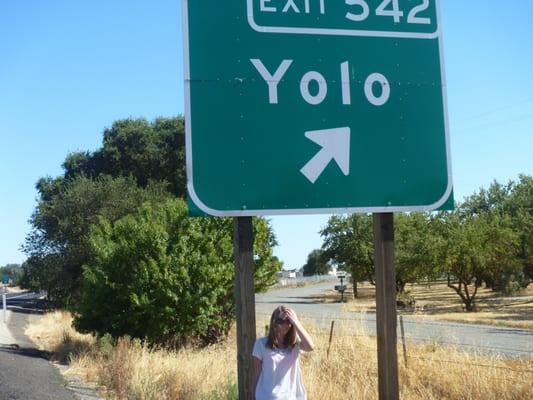 Y.O.L.O. yolo