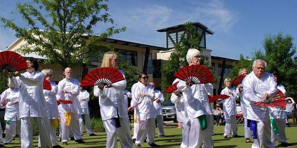 Woodlands Tai Chi