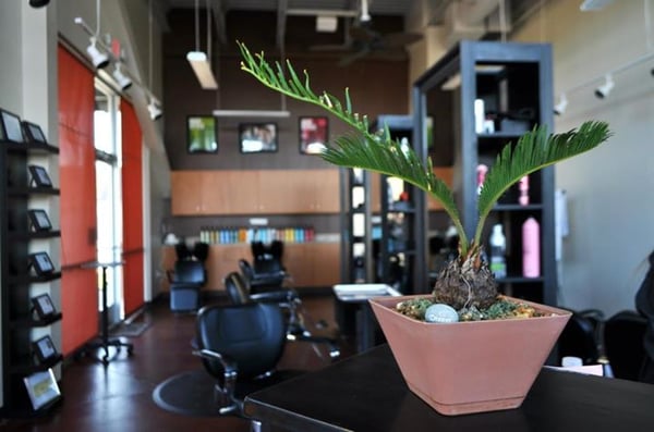 Mahalo Salon Lake Wylie