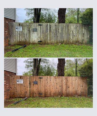 Fence revival!