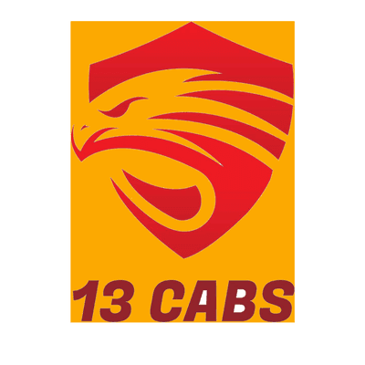 13 CABS LLC