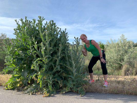 That's a giant weed!