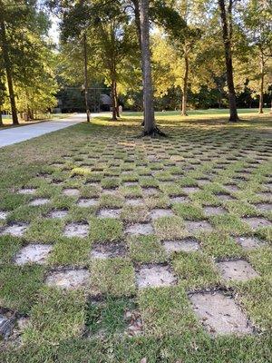 Sod grass installation at residential home