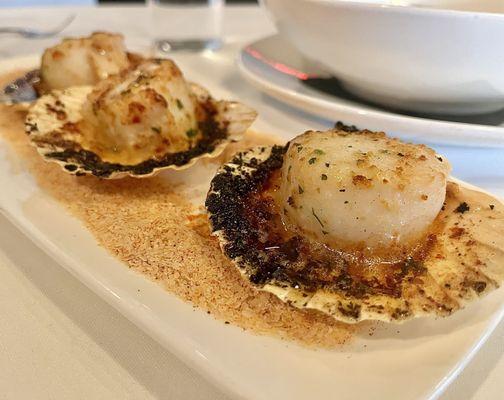 Scallop in shell appetizer (they were huge)