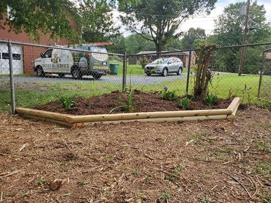 Planter area with timber edging.