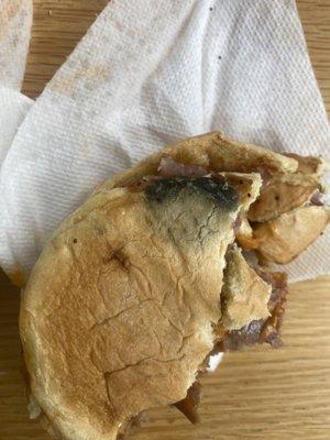 Moldy bread