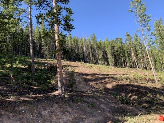 Lot clearing for a building envelope and leech fields.