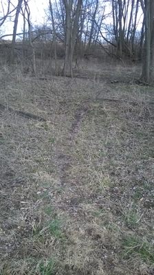 trails are not paved and sometimes muddy