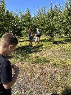 Mr. Hatch gave my son a white nectarine to try.