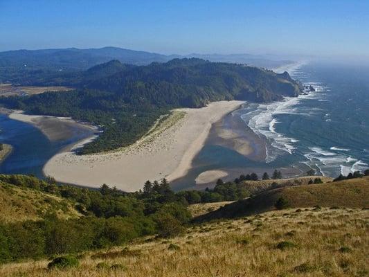 Native Plants & medicinal uses tour-Cascade Head!